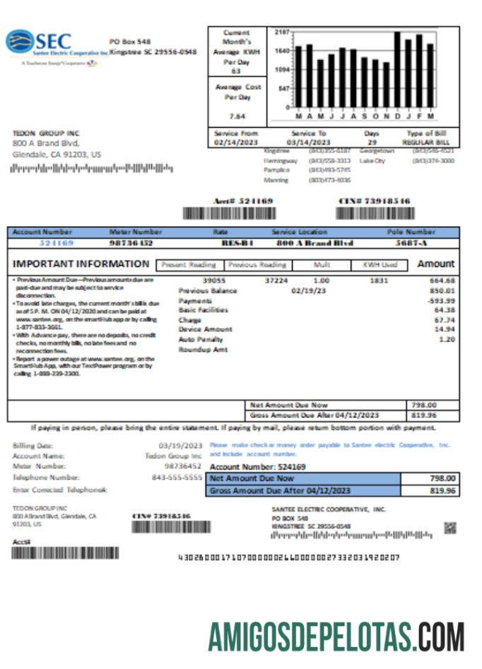 Santee Electric Cooperative Inc (SEC) Prova de endereço de fatura de serviços públicos, SCR exemplo